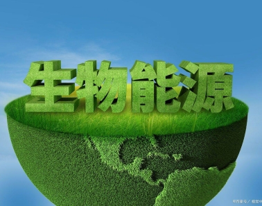 《中國能源報》：生物質(zhì)能源利用將迎來加速跑